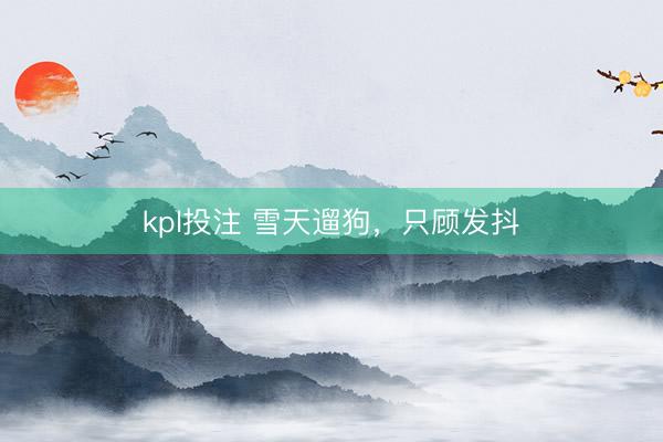 kpl投注 雪天遛狗,只顾发抖