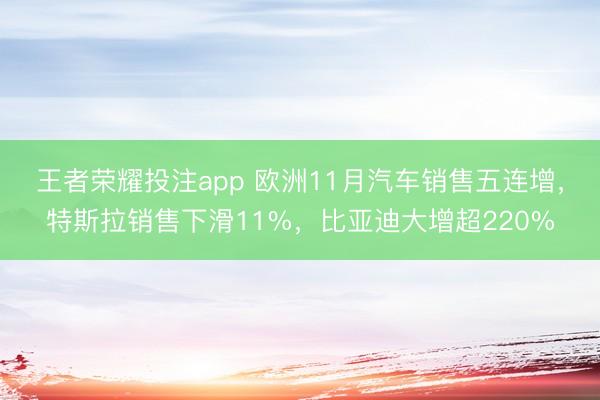 王者荣耀投注app 欧洲11月汽车销售五连增，特斯拉销售下滑11%，比亚迪大增超220%