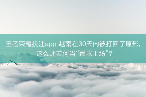 王者荣耀投注app 越南在30天内被打回了原形, 这么还若何当“寰球工场”?