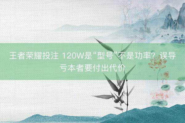 王者荣耀投注 120W是“型号”不是功率?误导亏本者要付出代价