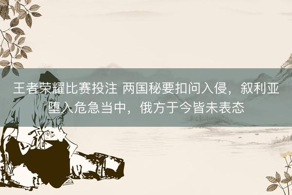 王者荣耀比赛投注 两国秘要扣问入侵，叙利亚堕入危急当中，俄方于今皆未表态