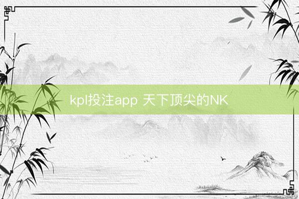 kpl投注app 天下顶尖的NK