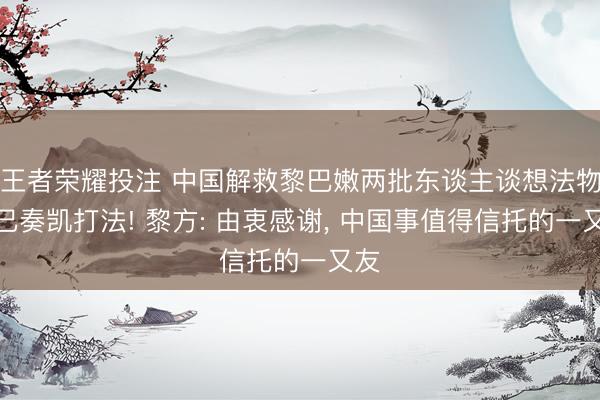 王者荣耀投注 中国解救黎巴嫩两批东谈主谈想法物质已奏凯打法! 黎方: 由衷感谢， 中国事值得信托的一又友